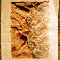 BARBARA NACHAJSKA-BROŻEK - Elements II